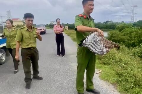 58win apk xã Thiệu Hóa tuyên truyền, vận động Nhân dân 58win com động vật hoang dã, tiếp nhận cá thể chim hoang dã đẻ thả môi trường tự nhiên